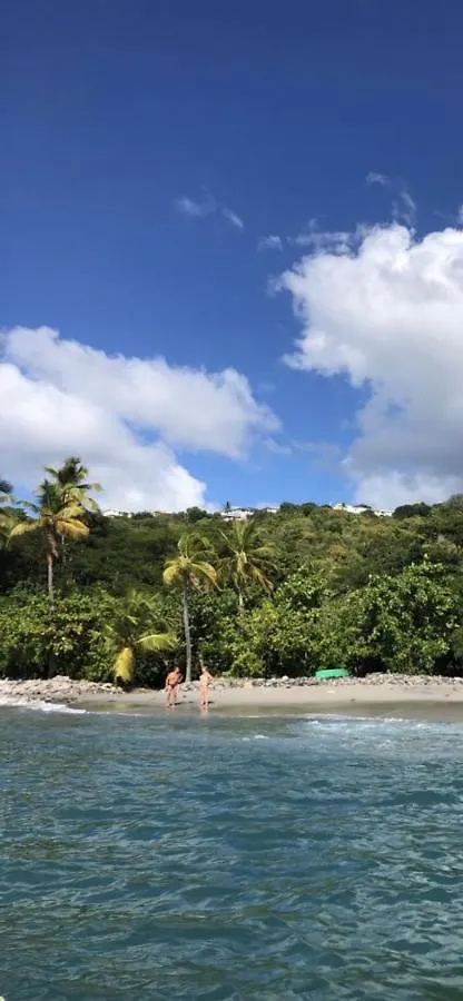Location Gite Bungalow A 70M De La Plage Bouillante