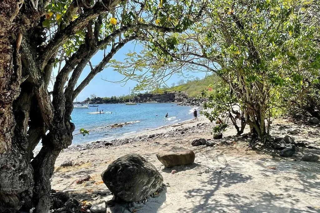 Location Gite Bungalow A 70M De La Plage Bouillante Hébergement de vacances