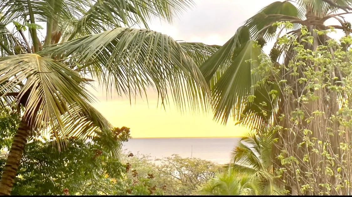 Location Gite Bungalow A 70M De La Plage Bouillante 0*,