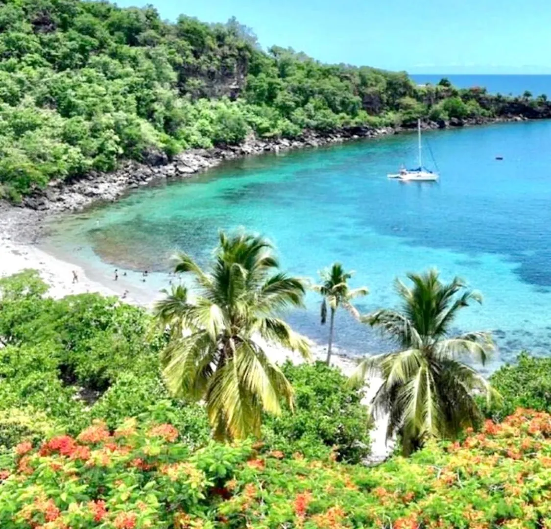 Location Gite Bungalow A 70M De La Plage Bouillante